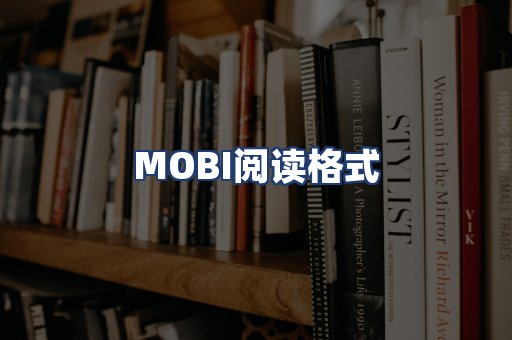 MOBI阅读格式